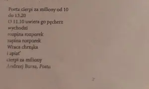 Analiza wiersza Pantofelek – ironia i manipulacja w poezji Bursy