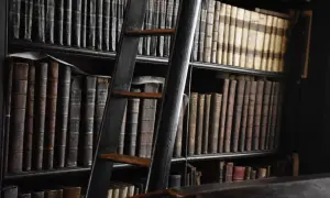 Dlaczego literaturze nie wystarcza język literacki w nowoczesnym świecie?