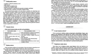 Recenzja książki kamizelka - miłość, poświęcenie i emocje w noweli