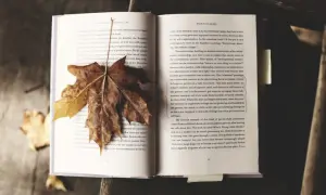Co to jest literatura faktu? Poznaj jej tajemnice i cechy