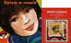 Recenzja książki opium w rosole Małgorzaty Musierowicz – co warto wiedzieć?