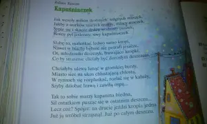 Kapuśniaczek wiersz – analiza i interpretacja pięknego utworu Tuwima