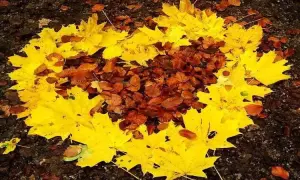 Złota jesień wiersz – piękno polskiej poezji o nostalgii i emocjach