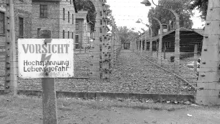 Znak "VORSICHT Hochspannung Lebensgefahr" przy ogrodzeniu z drutu kolczastego. Czy opowiadania Borowskiego to literatura faktu?