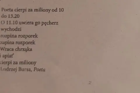 Analiza wiersza Pantofelek – ironia i manipulacja w poezji Bursy