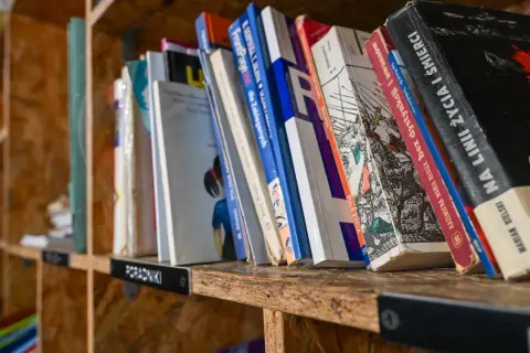 Książki na półce, idealne miejsce, gdzie oddać książki Poznań. Różnorodne tytuły, od poradników po literaturę.