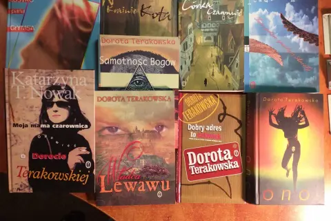 Recenzja książki samotność bogów doroty terakowskiej - co warto wiedzieć?
