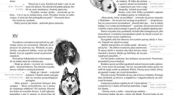 Autor książki o psie, który jeździł koleją – historia, która porusza serca