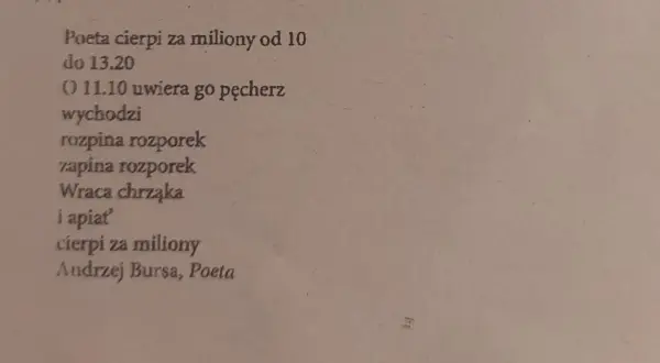 Analiza wiersza Pantofelek – ironia i manipulacja w poezji Bursy