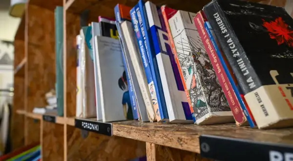 Książki na półce, idealne miejsce, gdzie oddać książki Poznań. Różnorodne tytuły, od poradników po literaturę.