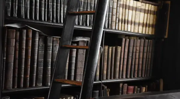 Dlaczego literaturze nie wystarcza język literacki w nowoczesnym świecie?