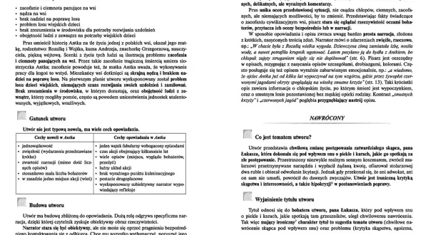 Recenzja książki kamizelka - miłość, poświęcenie i emocje w noweli