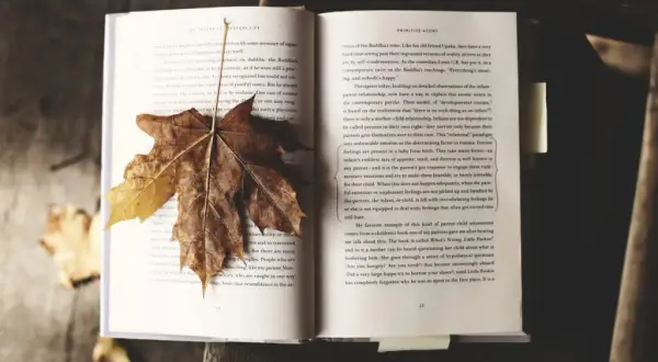 Co to jest literatura faktu? Poznaj jej tajemnice i cechy