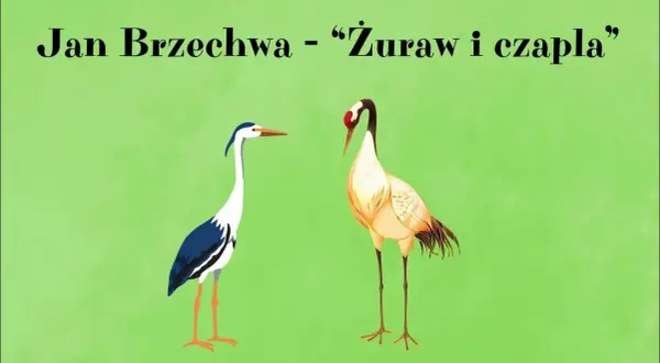Czapla wiersz: odkryj niezwykłe utwory o czaplach w poezji polskiej