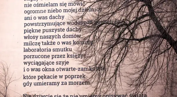 Długi wiersz - odkryj emocje i znaczenie w polskiej poezji