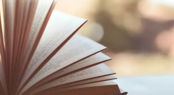 Gdzie szukać literatury do pracy licencjackiej, aby uniknąć frustracji?