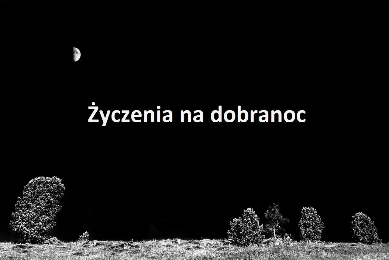 Księżyc na niebie, drzewa w oddali. Słowa 