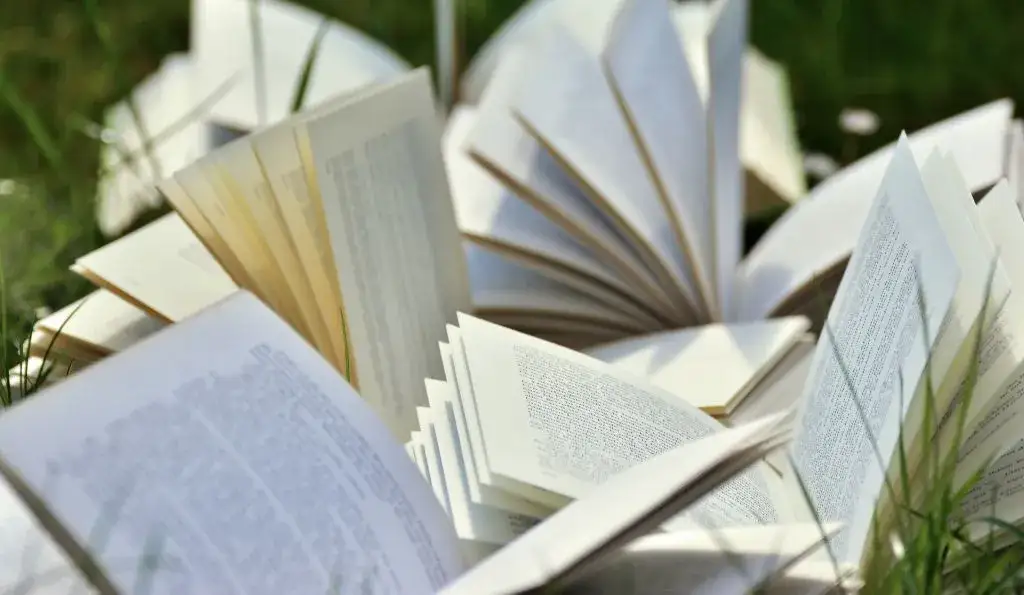 Zdjęcie Czy literatura uczy człowieka jak żyć? Odkryj ukryte lekcje życia