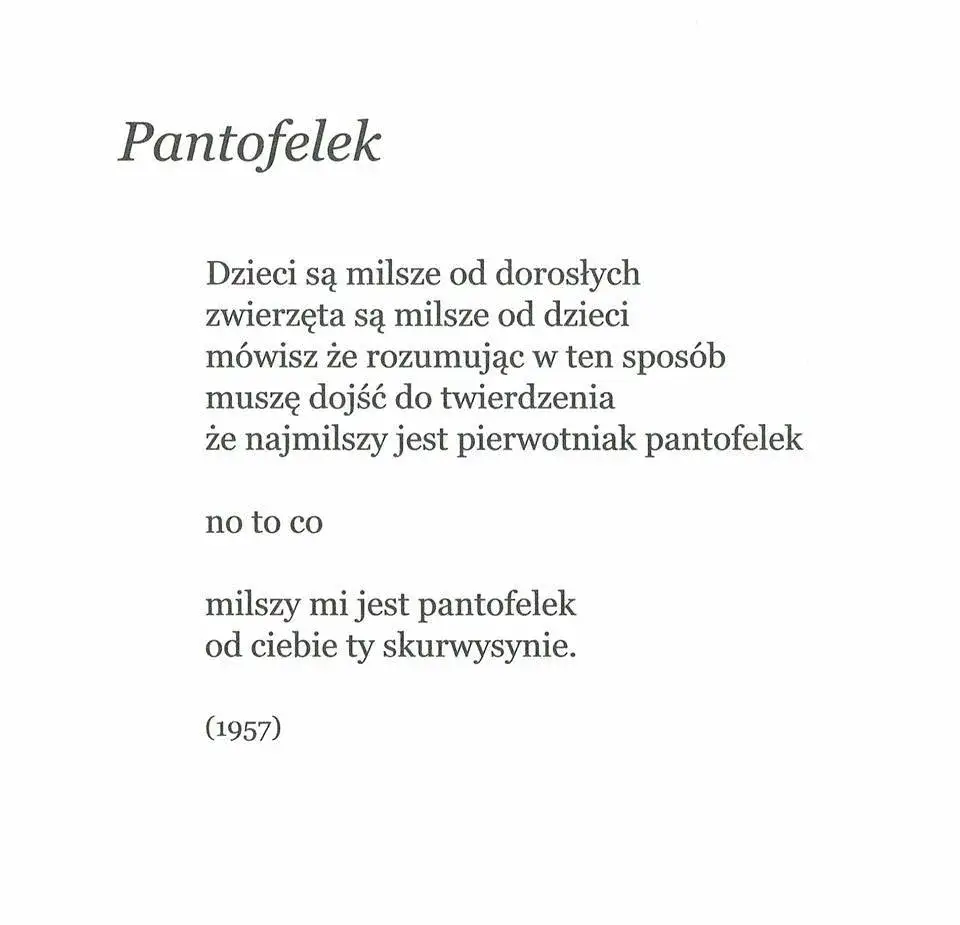 Zdjęcie Analiza wiersza Pantofelek – ironia i manipulacja w poezji Bursy