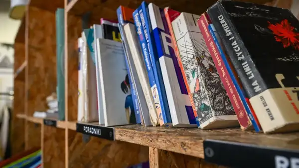 Książki na półce, idealne miejsce, gdzie oddać książki Poznań. Różnorodne tytuły, od poradników po literaturę.