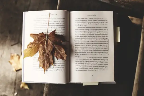 Co to jest literatura faktu? Poznaj jej tajemnice i cechy