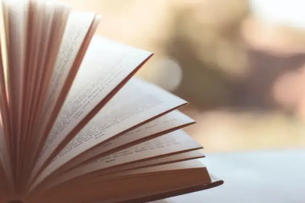 Gdzie szukać literatury do pracy licencjackiej, aby uniknąć frustracji?